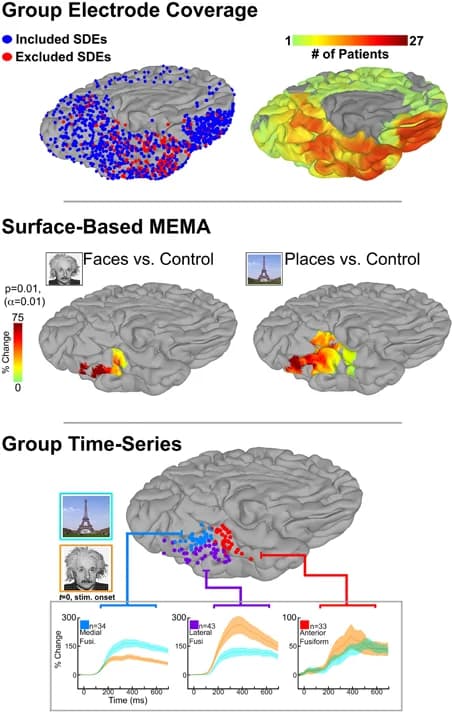 Averaged and classifier-based approaches to cortical mapping - Figure 1